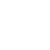 home-tw-icon